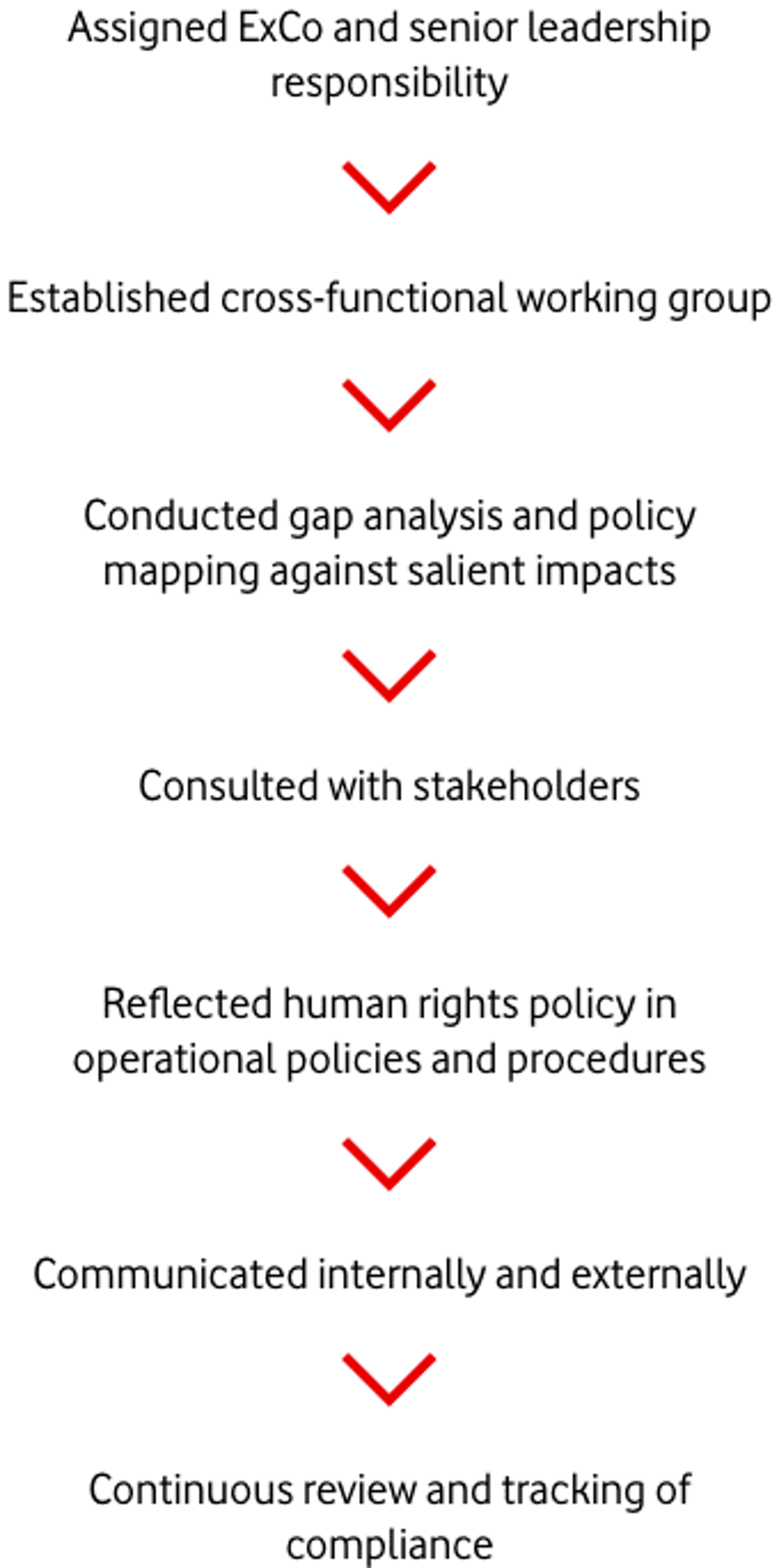 Developing our Human Rights Policy diagram