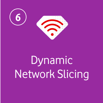 Dynamic Network Slicing 