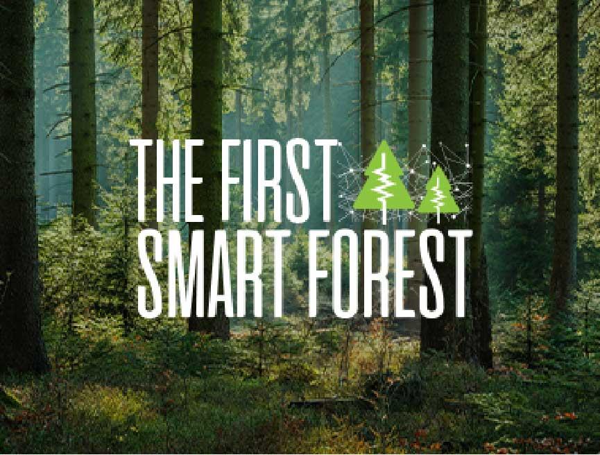 Smart forest
